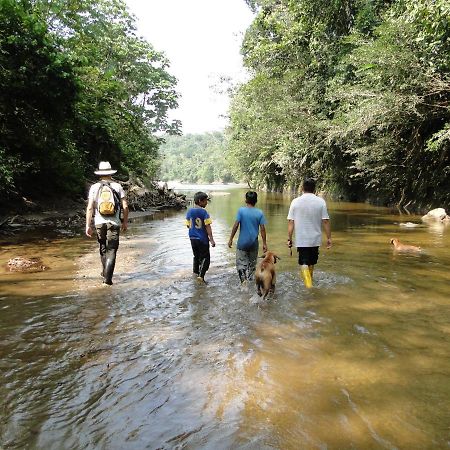 Grand Selva Lodge & Tours Tena Esterno foto