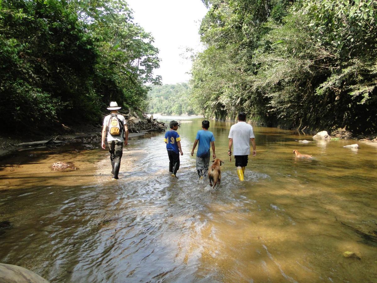 Grand Selva Lodge & Tours Tena Esterno foto