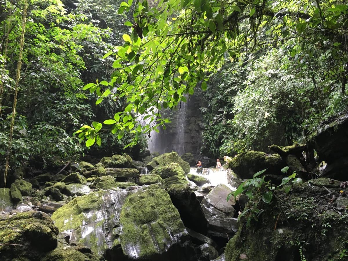 Grand Selva Lodge & Tours Tena Esterno foto