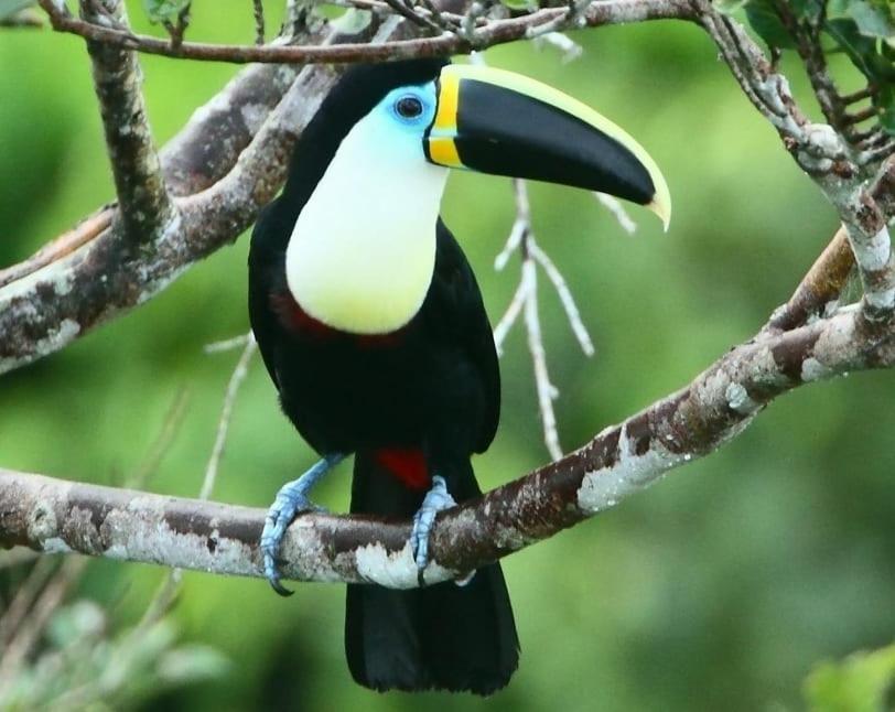 Grand Selva Lodge & Tours Tena Esterno foto