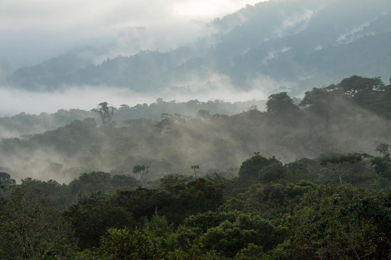 Grand Selva Lodge & Tours Tena Esterno foto