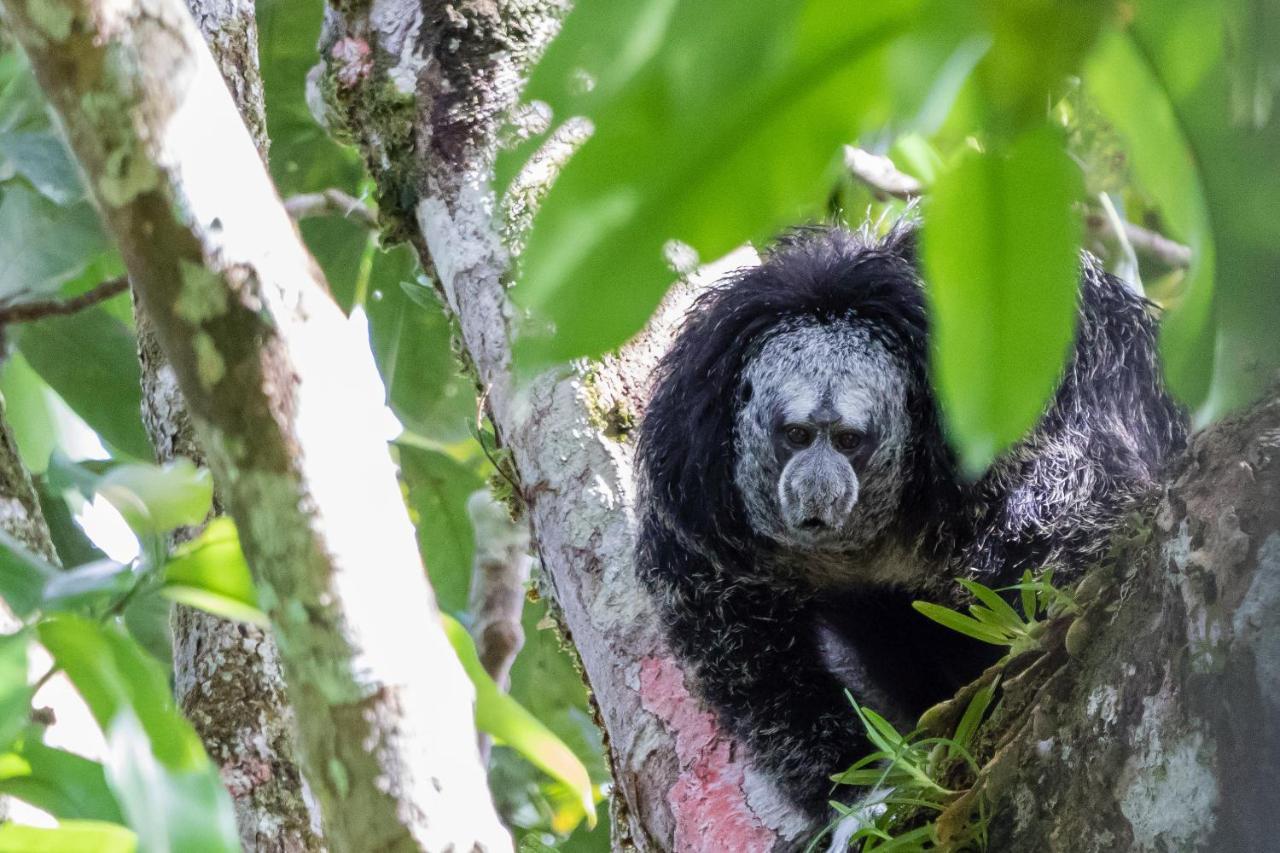 Grand Selva Lodge & Tours Tena Esterno foto